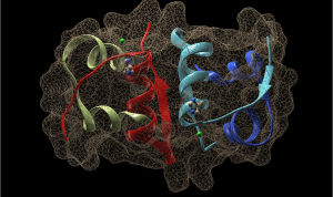 ML Driven Protein Complex Predictive Modeling