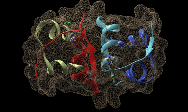 ML Driven Protein Complex Predictive Modeling