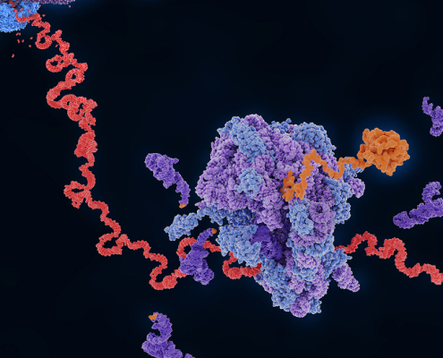 Multi-Modal Machine Learning For Target Discovery