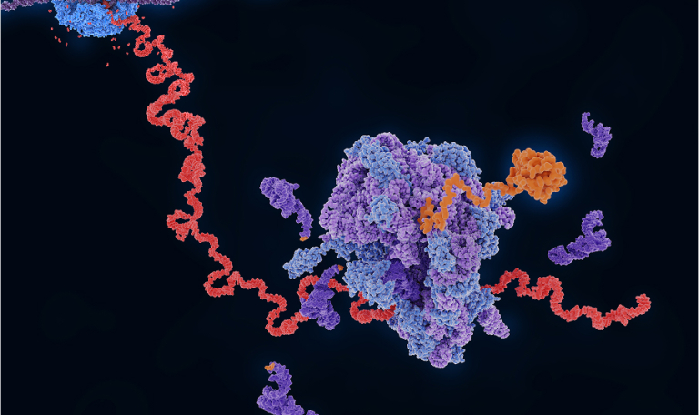 Multi-Modal Machine Learning For Target Discovery